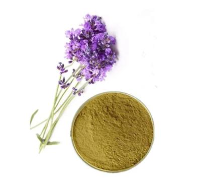 Lavender Extract Powder