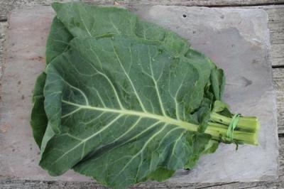 Organic Kashmiri Haak
